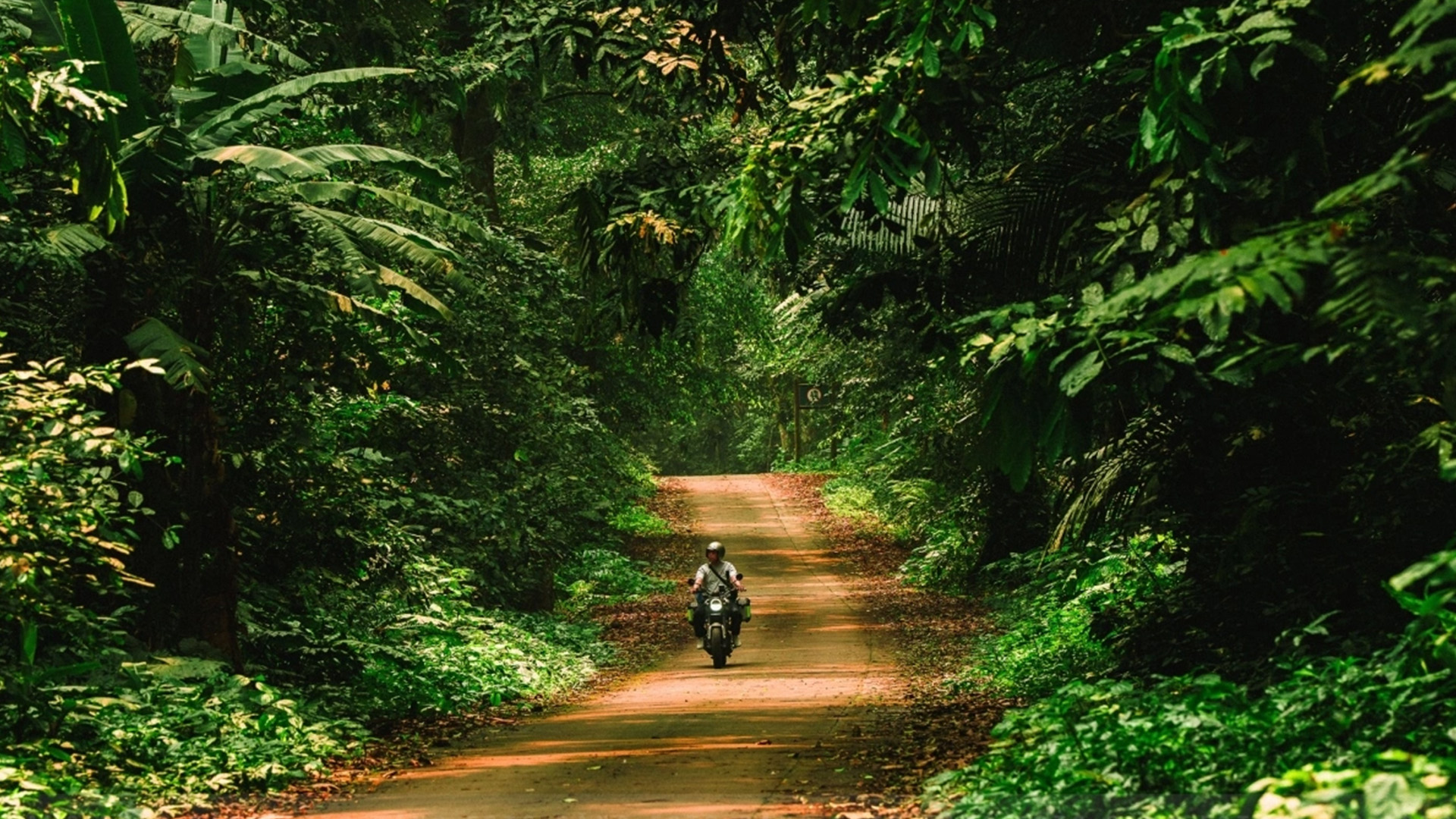 Vườn quốc gia Cúc Phương - クックフォン国立公園
